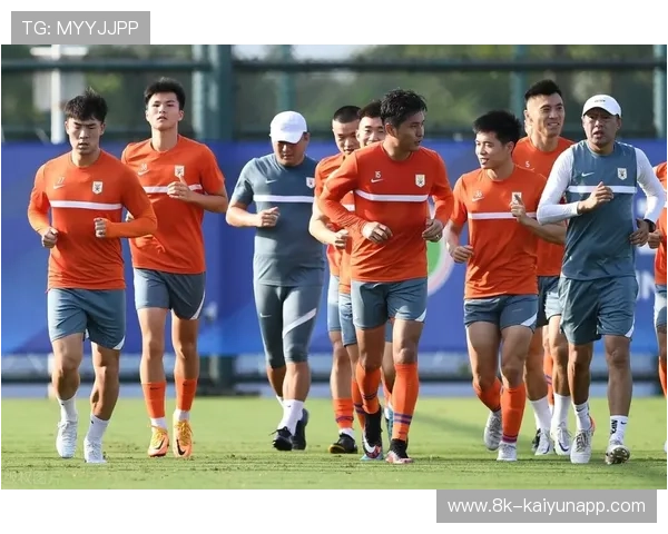 霍芬海姆对阵勒沃库森，双方伤病潮影响排兵布阵